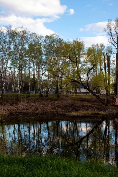 Small Mirror Lake Surrounded Trees Leaves Blue Sky Clouds Floating — Stock Photo, Image