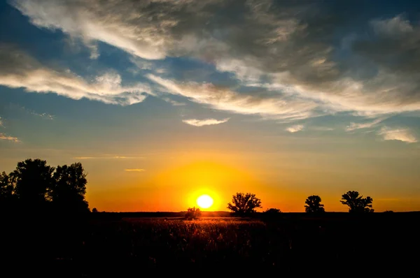 Beautiful Sunset Warm Summer Evening Edge Forest Lonely Trees Sun — Stock Photo, Image