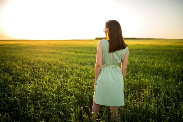 Genç, güzel Asyalı kız gün batımında yeşil buğday tarlasında