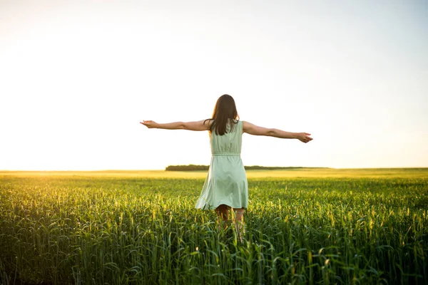 Young Beautiful Asian Girl Field Green Wheat Background Sunset — Stock Photo, Image