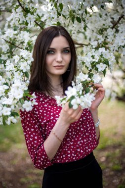 Çiçek açan elma bahçelerinde poz veren genç, güzel bir kız.