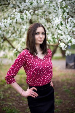 Çiçek açan elma bahçelerinde poz veren genç, güzel bir kız.