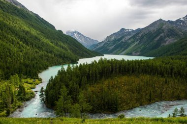 Altai, güzel Kucherlinskoe dağının turkuaz renkli gölü.