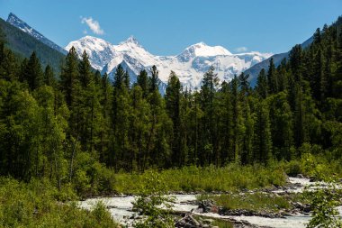 Akkem Nehri ve Belukha Tepesi Vadisi Altay