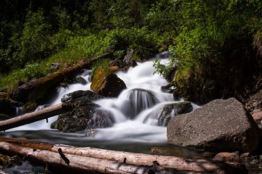Şelale suyu hızla büyük taş ve kütüklerin üzerinden akıyor.