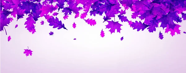 Bannière Automne Avec Belles Feuilles Violettes — Image vectorielle
