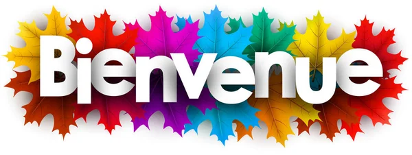 Banner Bienvenida Otoño Con Hojas Arce Color Francés Fondo Vectorial — Vector de stock