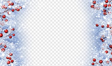 Noel ve yeni yıl poster beyaz çam dalları, holly Karpuzu ve kar ile. Vektör şeffaf arka plan