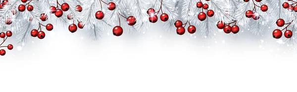 화이트 크리스마스와 전나무 열매와 — 스톡 벡터