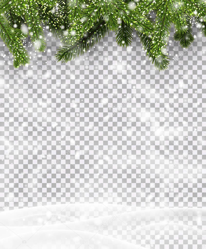 Christmas and New Year poster template with green fir branches, winter landscape, snow and blizzard. Vector transparent background