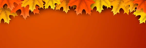 Podzimní pozadí s barevnými Javorové listy. — Stockový vektor
