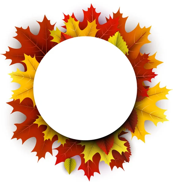 Fundo de outono com folhas de bordo coloridas . — Vetor de Stock