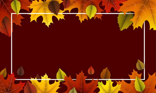 Fond d'automne avec des feuilles d'érable colorées . — Image vectorielle
