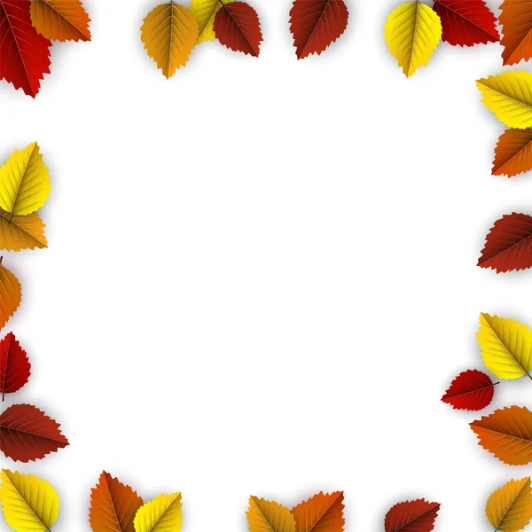 Herbst Hintergrund mit bunten Birkenblättern. — Stockvektor