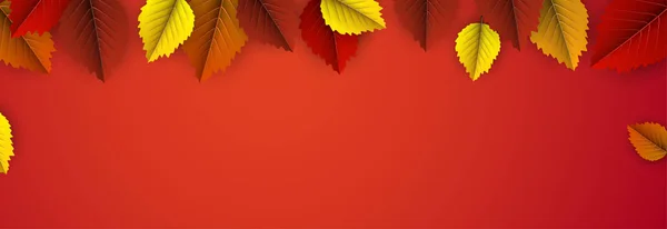 Fond d'automne avec des feuilles de bouleau colorées . — Image vectorielle