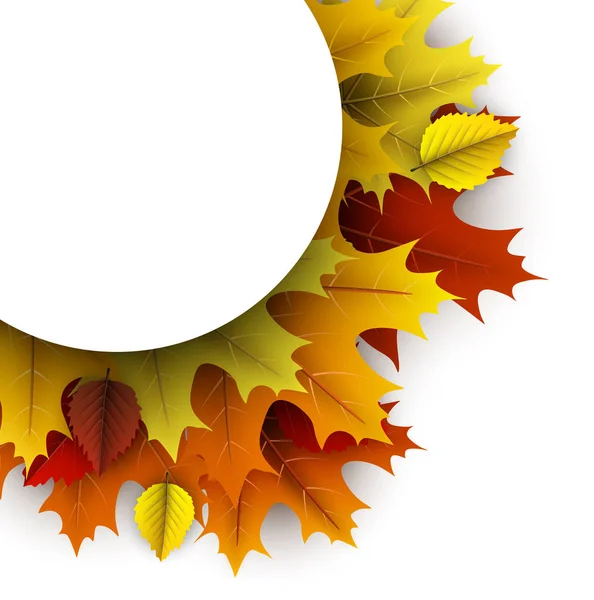 Fundo de outono com folhas de bordo coloridas . — Vetor de Stock