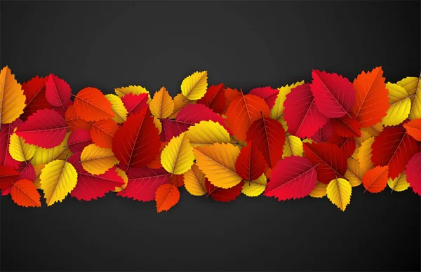 Fond d'automne avec des feuilles de bouleau colorées . — Image vectorielle