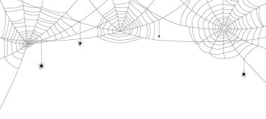 Four black spiders hanging down from three spiderwebs. White background. Vector illustration. clipart