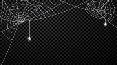 Şeffaf arka planda örümcekleri olan beyaz örümcek ağı. Vektör illüstrasyonu.