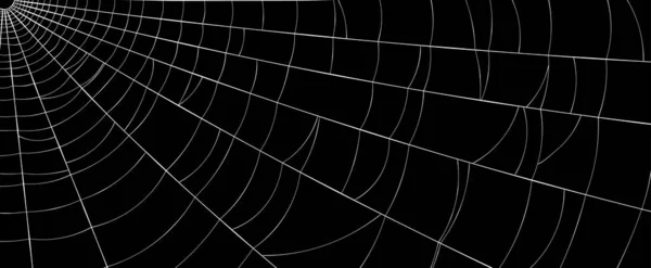 黒い背景にクモのいない白いクモの巣 ベクターイラスト — ストックベクタ