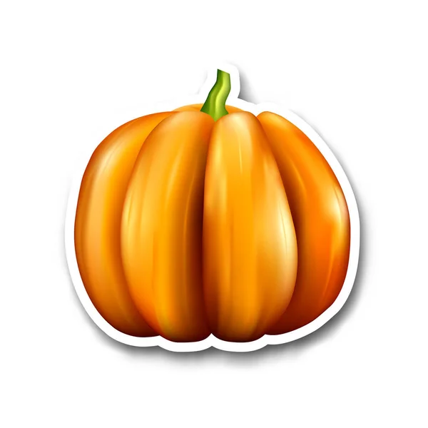 Pegatina Calabaza Aislada Sobre Fondo Blanco Ilustración Vectorial — Archivo Imágenes Vectoriales