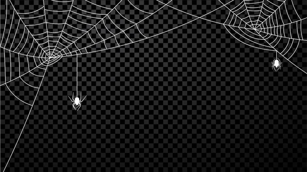 Vit Spindelnät Med Spindlar Transparent Bakgrund Vektorillustration — Stock vektor