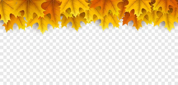 Yellow Maple Leaves Top Frame Transparent Background Vector Illustration — Stock Vector