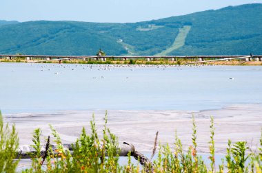 Bir santral endüstriyel atık boşaltma için boru