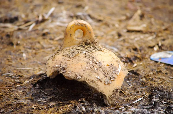 Deniz şamandıra kıyısında, sığ derinlik-in tarla kalıntıları