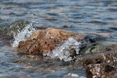 Taşlı sahilde yuvarlanan deniz dalgaları, yakın bir yerde