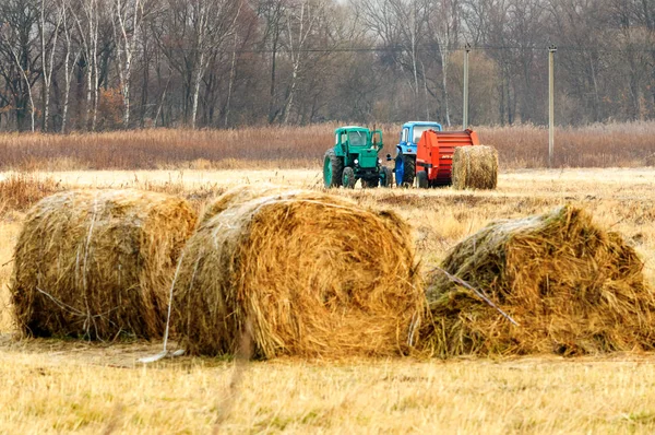 Tratores para a colheita de grama seca em fardos de palha no campo no outono. Máquinas agrícolas especiais. Em primeiro plano estão fardos de palha. Profundidade de campo rasa . — Fotografia de Stock