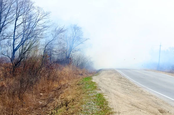 Fogo florestal perto da estrada de asfalto — Fotografia de Stock