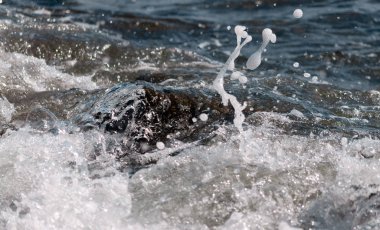 Taşlı sahilde yuvarlanan deniz dalgaları, yakın bir yerde
