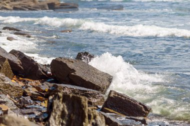 Taşlı sahilde yuvarlanan deniz dalgaları, yakın bir yerde