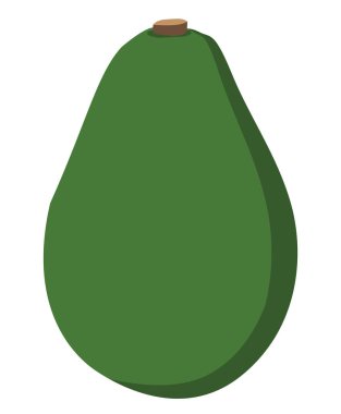 avokado vektör çizimleri