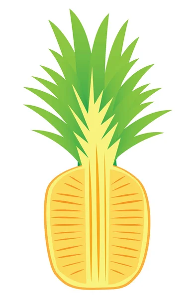 Pineapple fruits — Stock Vector