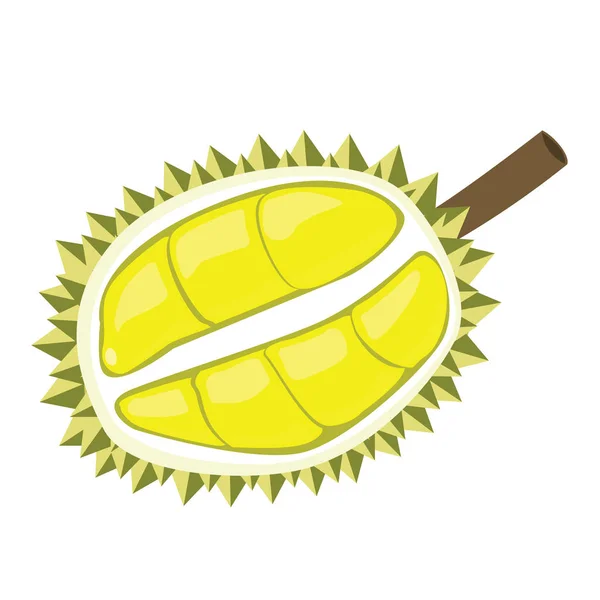 Durian fruits — Stock Vector