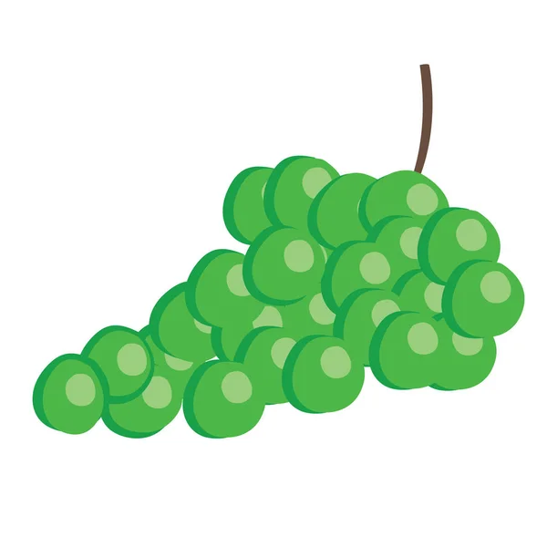 A bunch green grapes fruits — Stock Vector