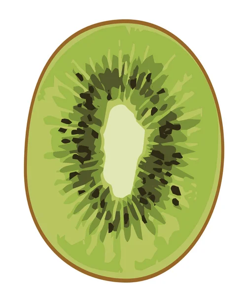 Kiwi fruits — Stock Vector