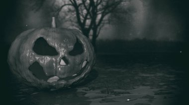 Kabak halloween korku kavramı. 