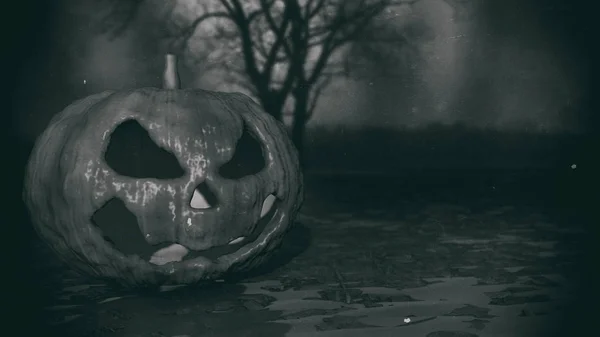 Zucca Halloween Horror Concetto — Foto Stock