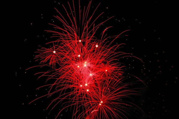 Siyah arka plan önünde havai fişek çiçek