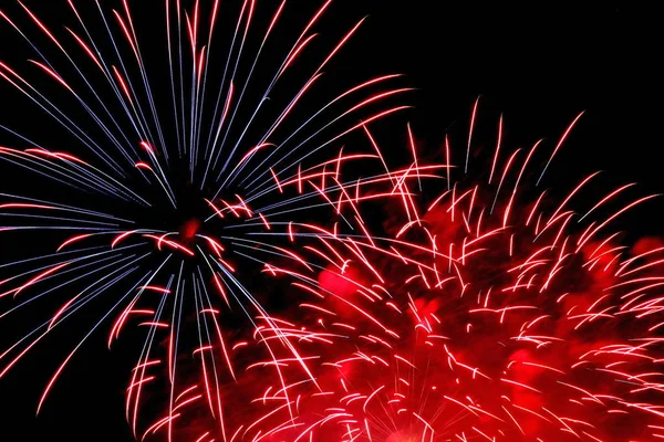 Floare Artificii Fața Fundalului Negru — Fotografie, imagine de stoc