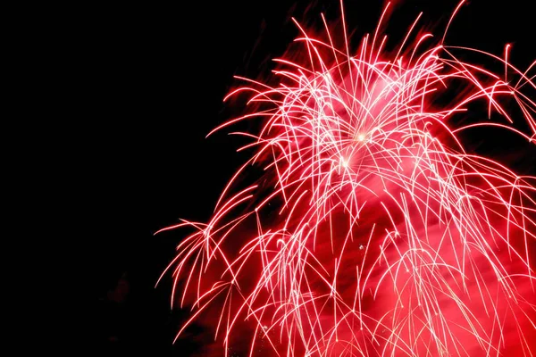 Feuerwerksblume Vor Schwarzem Hintergrund — Stockfoto