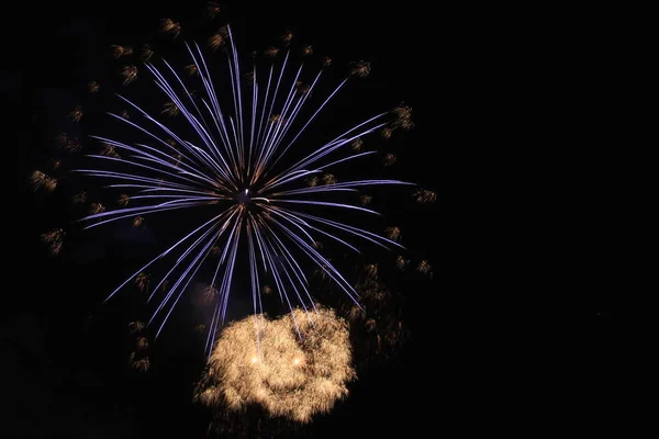 Floare Artificii Fața Fundalului Negru — Fotografie, imagine de stoc