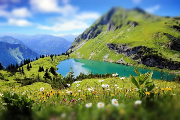 Seealpsee High Mountain Lake Bavarian Alps — Stock Photo, Image