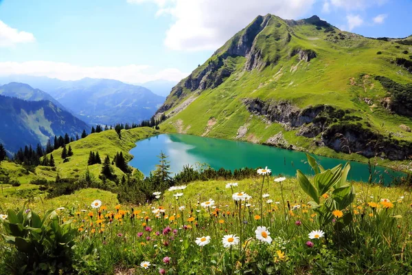 Seealpsee Bavyera Alplerinde Yüksek Bir Dağ Gölü — Stok fotoğraf
