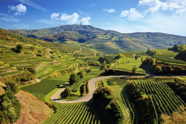 Kaiserstuhl Almanya 'da şarap yetiştiren bir bölgedir.