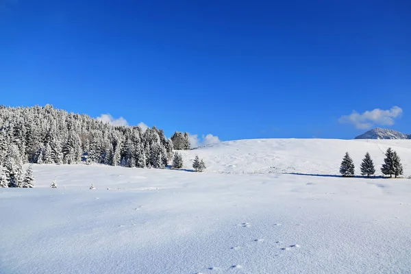 Sonthofen Bilinen Güzel Manzara Kış Manzaraları — Stok fotoğraf