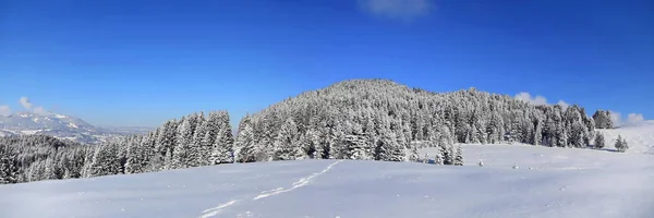 Sonthofen Conhecido Por Sua Bela Paisagem Paisagens Inverno — Fotografia de Stock